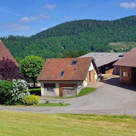 Hebergement Francois Mathieu Saint-Maurice-sur-Moselle Exterior photo